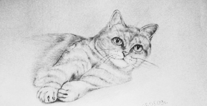 Рисунок кошка
