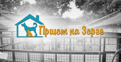 Логотип приюта для собак